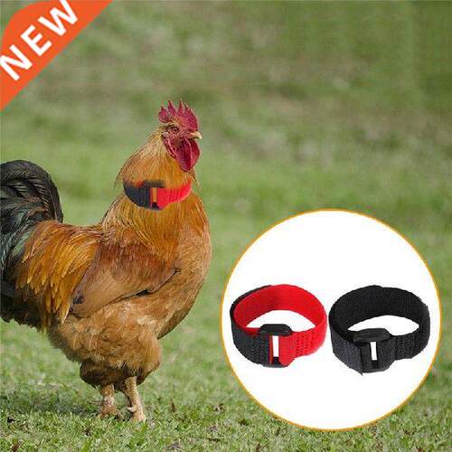 Rooster Noise-Free Anti-Hook Neckband Collar 2pcs Rooster