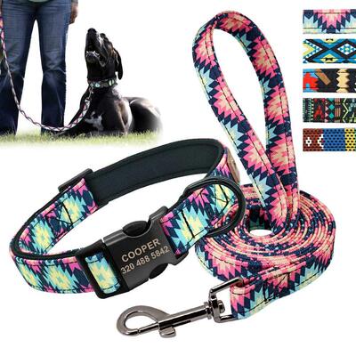 Personalized Dog Collar Leash Custom Puppy Pet Collar Pitbul