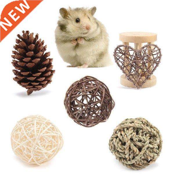 Small Animal Activity Toy,Pets Play Chew Toys for bunny