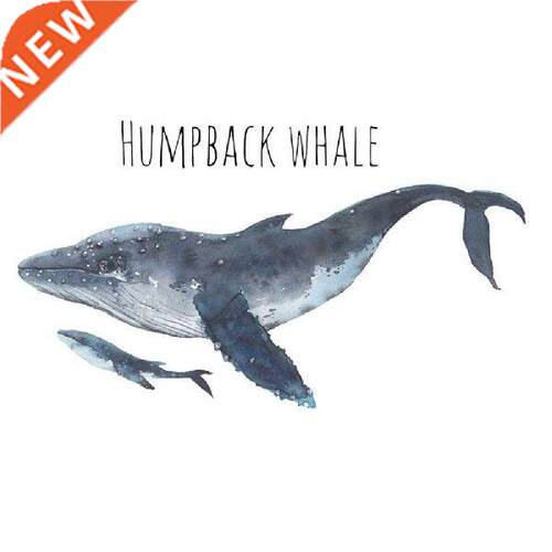 Ocean Animal Humpback Whale  Mural Wall Sticker Living