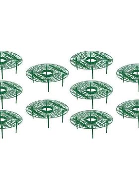 30 Pack Strawberry Plant Supports Strawberry Growing