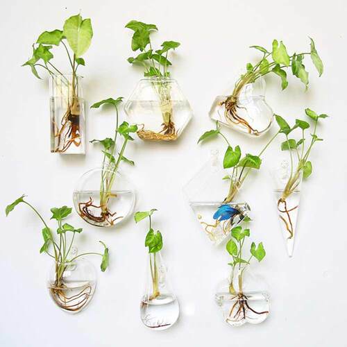 Wall Hanging Glass Vase Terrarium Hydroponic Plant Vases Wal