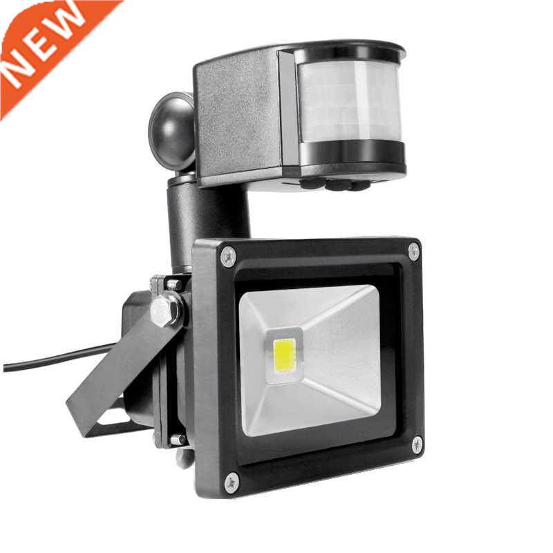 PIR 10W LED floodlight Ivanowa 12V 24V input spotlight water