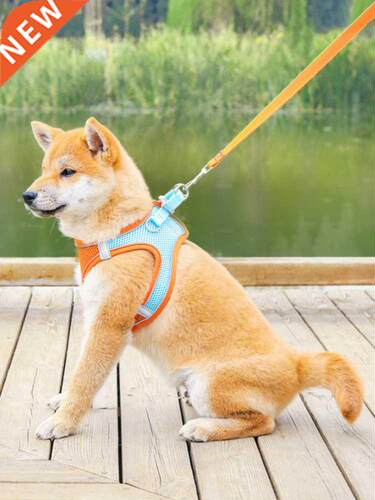 Puppy Vest Harness Hand Leash Cat Breathable Chest Strap Pet