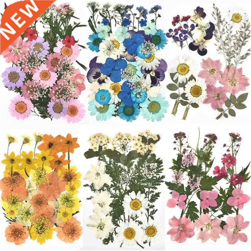 1 Pack Dried Flowers UV Resin Flower Stickers Dry Beauty Dec