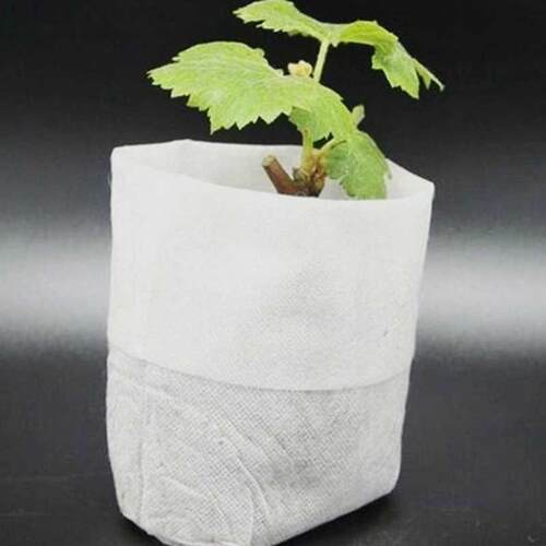 100PCS Biodegradable Non-woven Nursery Bags Plant Grow Bags