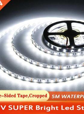 5M Led Strip 5050 2835 Rgb Tape 12v Waterproof White Light F