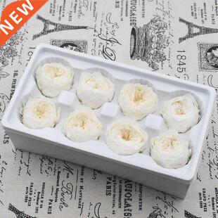 8PC Immortal Rose Flower Head high quality Grade A Preserved
