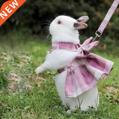 Rabbit Traction Rope Adult Lop-eared Bunny Outing Tools Bunn