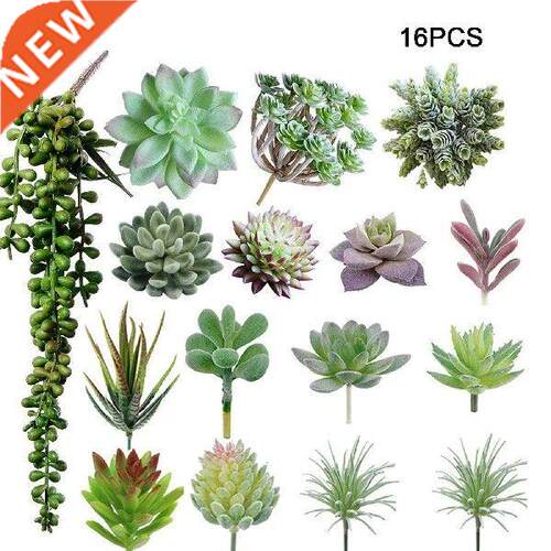 16pcs Garden Mini Indoor Home Decor Natural Color Unpotted