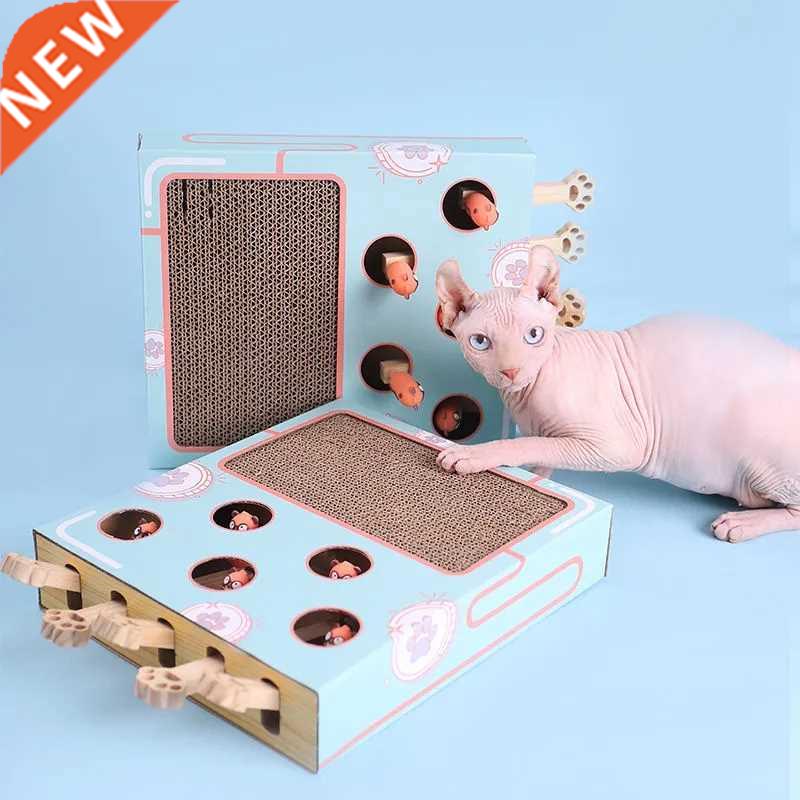 2021NEW! Ct Toy Chse Hunt Mouse Ct Gme Box 3 in 1 with S