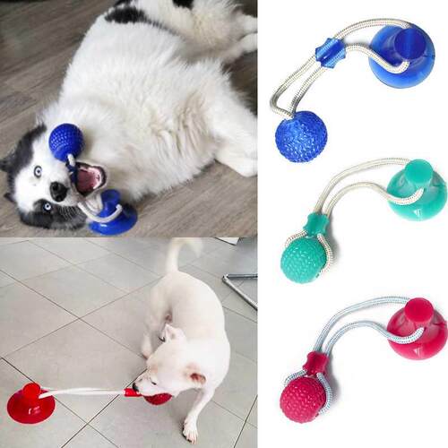 Dog Toys Interactive Suction Cup Push TPR Ball Toys Pet Pupp