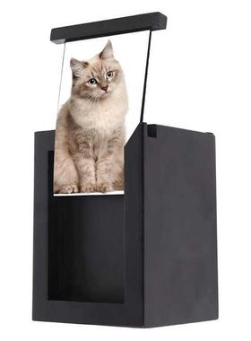 Pet Memory Urn for ashes or Dog Memorial Box Keepsake