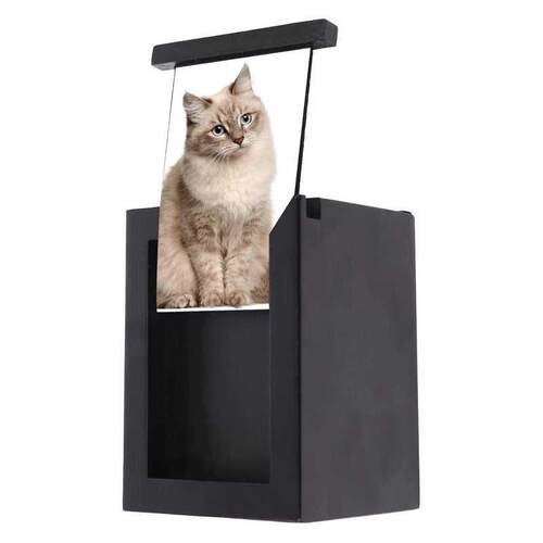 Pet Memory Urn for ashes or Dog Memorial Box Keepsake