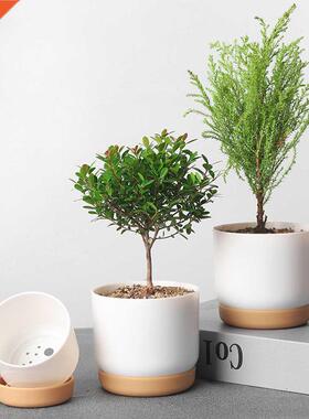 Self Watering Flowerpot Automatic Water Absorption Succulent