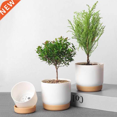 Self Watering Flowerpot Automatic Water Absorption Succulent