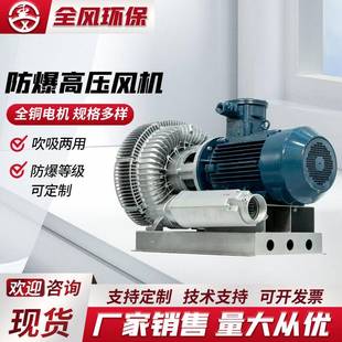 高压风机FBZ 92S防爆耐高温高压变频调速防腐气体粉尘防爆风机