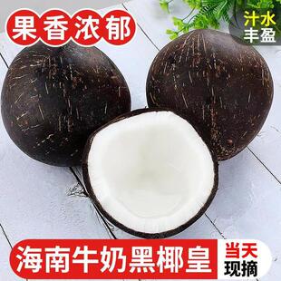 海南牛奶黑椰皇冻椰子小椰皇水耶子当季水果产地直发老椰子肉椰汁