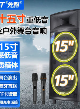 先科1507W双十五寸大功率