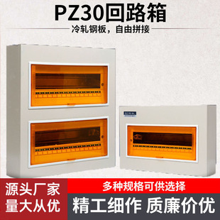 PZ30回路配电箱工程用明装家用空气开关箱暗装强电箱国标电箱总控