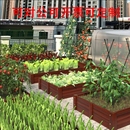 厂家直销碳化木家庭院花箱种菜大号防腐木阳台专用盆户外种植箱
