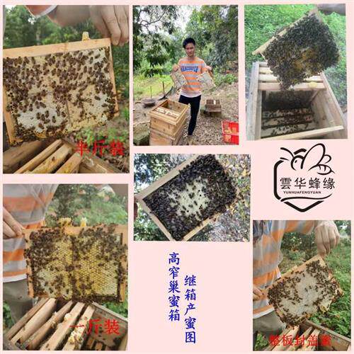 1.5板厚高窄巢蜜箱全套中蜂蜂箱养蜂工具巢框巢础蜂蜡蜂王防逃片