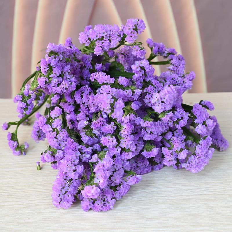 勿忘我鲜花云南斗南花卉基地直发混搭玫红色水晶草情人草可做干花,鲜花速递/花卉仿真/绿植园艺,鲜花速递(同城),淘宝优惠券,粉丝福利购,淘宝优惠卷