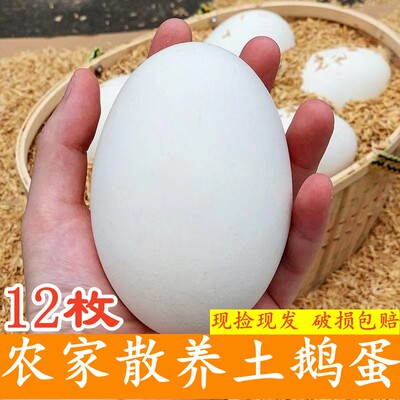 12枚正宗新鲜农家特大鹅蛋散养初生鹅蛋孕妇宝宝整箱批破发损包赔