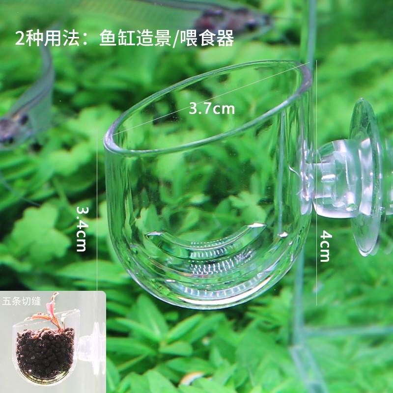 玻璃红虫喂食器鱼缸投食圈冻丰年虾赤虫投喂鱼漂浮杯小型神器透r