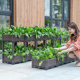 阳台种菜箱 新款 种植箱长方形塑料花盆厂家直r 园艺组J合式 方格款