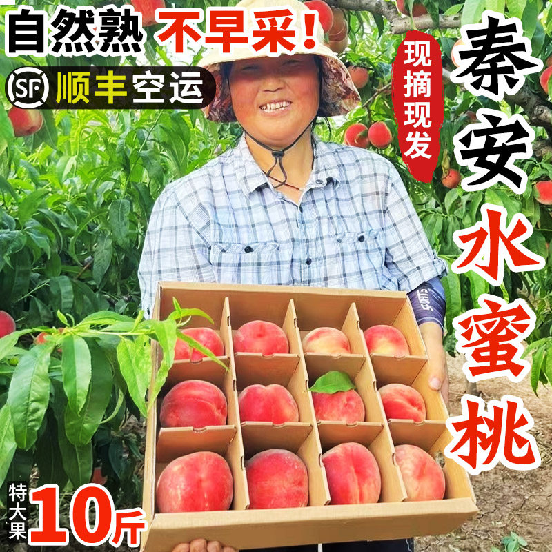 正宗秦安水蜜桃北京七号天水特产多汁孕妇桃现摘新鲜爆汁软糯香甜