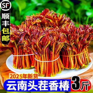 包郵 頭茬香椿芽四川新鮮香春嫩芽云南露天紅油春芽葉蔬菜 順豐