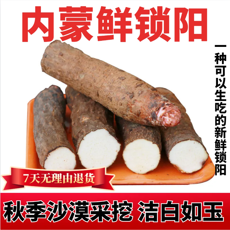 锁阳新鲜整根沙漠中药材男内蒙古