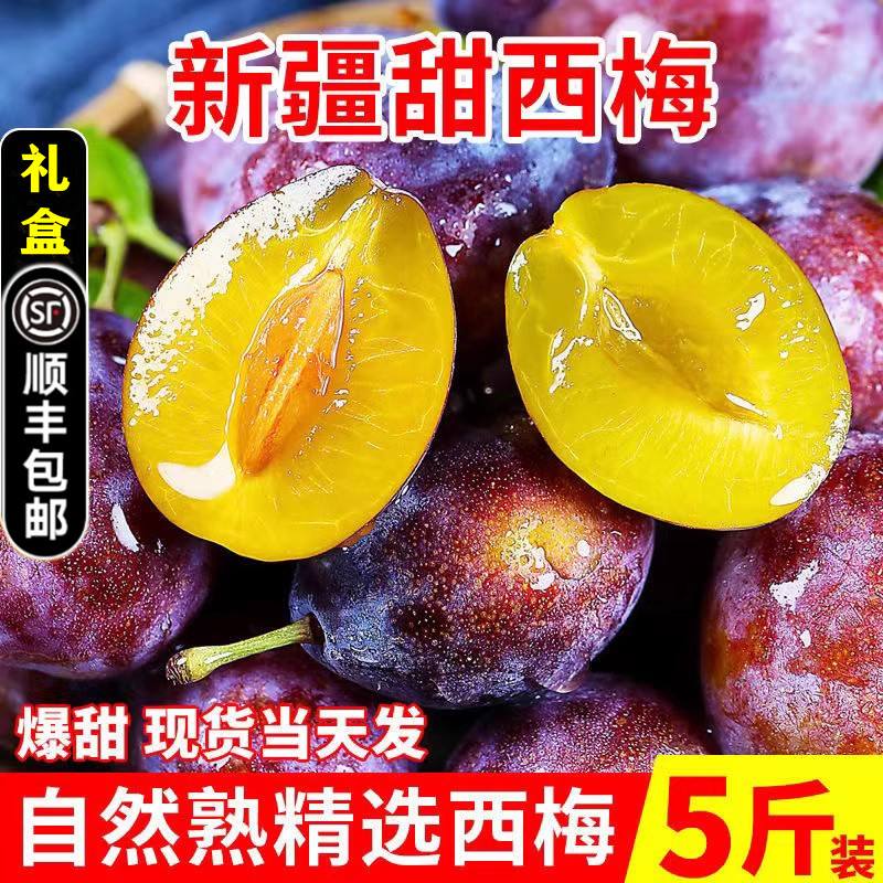 新疆西梅新鲜水果正宗蓝蜜梅礼盒顺丰包邮5孕妇李子喀什西梅鲜果