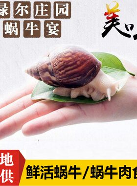 活蜗牛鲜活白玉法国蜗牛宠物餐饮蜗牛活体食用蜗牛粉片速冻蜗牛肉