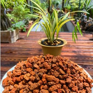火烧红土颗粒兰花蝴蝶兰君子兰多肉植料沥水保湿花卉营养土