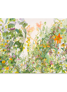 【捡漏合集】Joan Becker水彩画家田园艺术插画花鸟植物装饰画芯