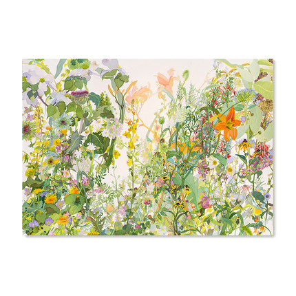 【捡漏合集】Joan Becker水彩画家田园艺术插画花鸟植物装饰画芯