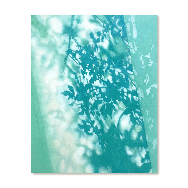 【捡漏合集】插画师Park Yunji复刻艺术版画植物光影风景装饰画芯
