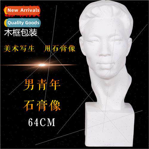 Plaster head a young man figure plaster statue a young man i
