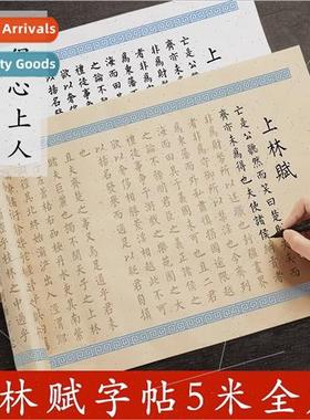 Shanglin Fu 5 mes long scroll coloured Xuan Adult Regular So