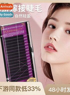 New Natural Soft Round Hair Dense Row Eyelash Extensions Bab