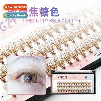 20D innocent eye lashes doh hair  caramel color own extensio