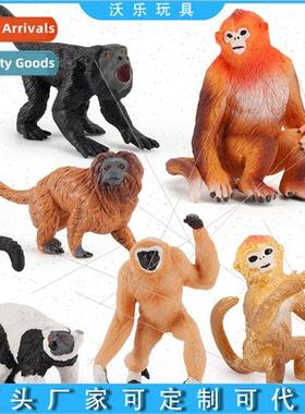 New children science education cognive monkey model solid st