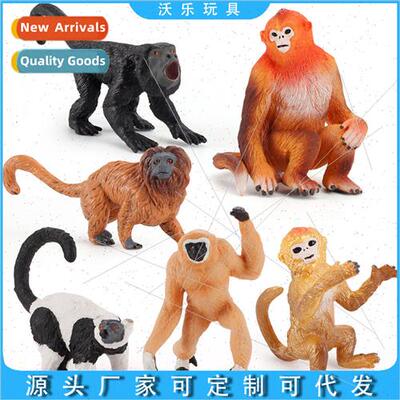 New children science education cognive monkey model solid st