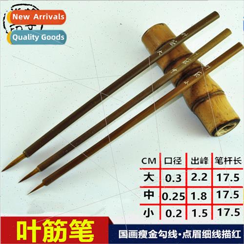 Hand-drawn cartoon leaf tendon hook brush Flower branch pret