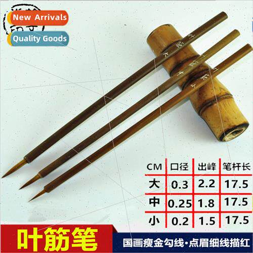 Hand-drawn cartoon leaf tendon hook brush Flower branch pret