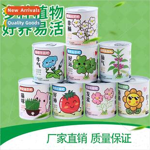 Children potted plants kindergarten indoor planting planter