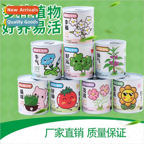 Children potted plants kindergarten indoor planting planter