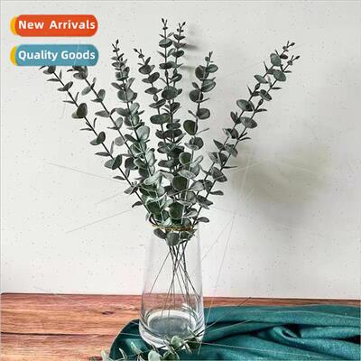 Eucalyptus simulation plant Eucalyptus money leaves home dec